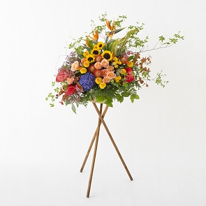 HLB46 NORA 開張花籃